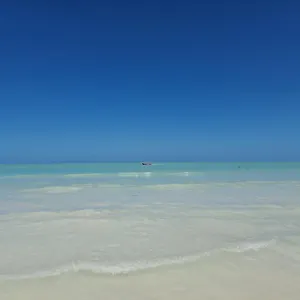  Camping Luna Y Sol Glamping Holbox